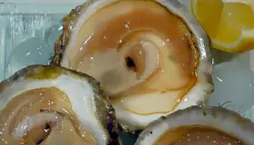 Piden no consumir moluscos del estero en Peñasco