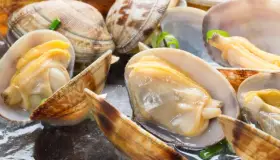 Alerta por veda de moluscos bivalvos en Caborca y Peñasco