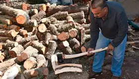 Sancionarán con 80 mil pesos a vendedores de leña sin permiso