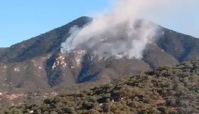 Afecta incendio forestal sierra alta de Aconchi