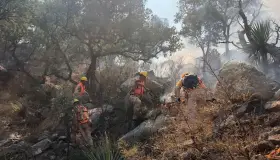 Controlan incendio forestal de Aconchi