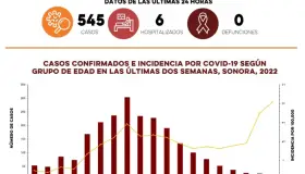 Reporta
SS 545 casos y cero defunciones por Covid-19