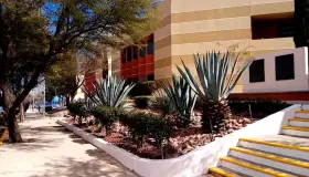 Regresa Unison Nogales a clases presenciales híbridas