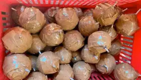 Hallan material explosivo en inmueble en Michoacán