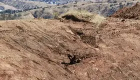 Denuncian deforestación por construcciones