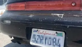 Inicia regularización de ‘pafas’