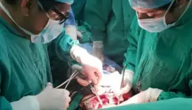 Buscará Gobierno modificar ley para facilitar donación de órganos