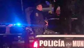 Choca y se da a la fuga