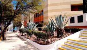 Tendrán Feria de Salud en la Unison