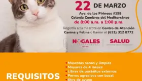Anuncian nueva campaña de esterilización 