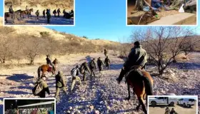 Aseguran grandes grupos de migrantes