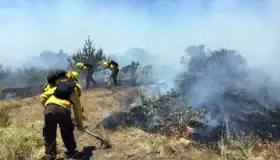 Solicitan personal para combatir incendios