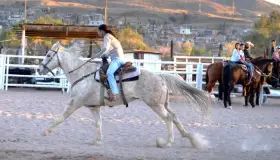 Convocan al Torneo Regional de Rodeo en Nogales