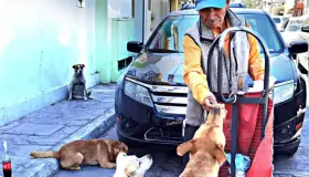 Alimenta a sus amigos de cuatro patas