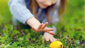 Celebran nogalenses ‘Día de la Coneja’