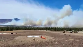 Evacúan cientos de hogares en Arizona por incendio forestal