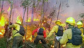 Pide Protección Civil precaución al salir de día de campo