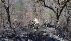 Aplican Plan DN-III-E en incendio forestal de Álamos
