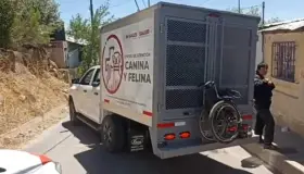 Rescatan a animales del maltrato en diferentes domicilios