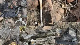 Encuentran osamenta grupo de Buscadoras de la Frontera