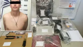 Al tratar de escapar, ladrones fueron atacados por perros