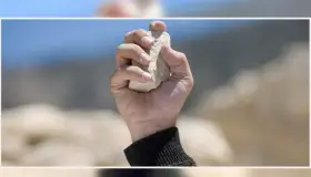 Lesiona mujer a menor con una piedra