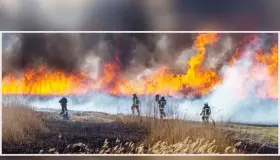Podría quedar sofocado incendio forestal en Álamos