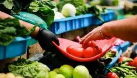 Buscan alternativas ante altos precios