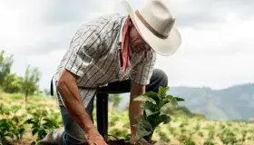 Arranca Sembrando Vida en Sonora