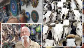 A punto de extinguirse negocio de ‘curios’ en Nogales