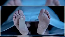 Presentan aplicación para identificar desaparecidos