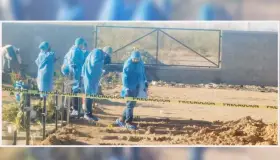 Ejecutan a mujer en panteón y la arrojan en fosa en Caborca