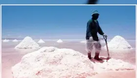 Crean Comisión Especial de Seguimiento a la Explotación del Litio