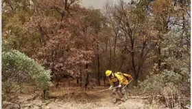 Combaten incendio forestal en Cajeme