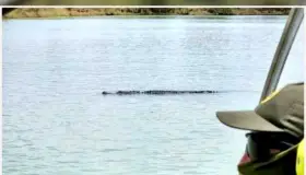 Captan enorme cocodrilo en el Río Bravo