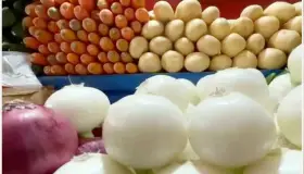 Exento de aranceles productos básicos; es oficial