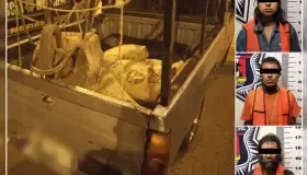 Sorprenden a personas sacando material de una empresa