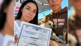 <b>Hacen feria de adopción de mascotas </b>