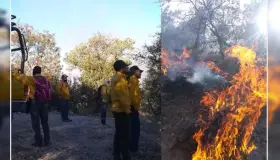 Da UMPC recomendaciones para evitar incendios forestales