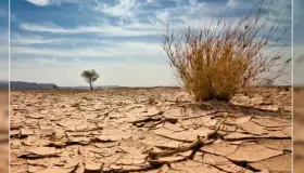 Alertan de escasez de agua en Phoenix