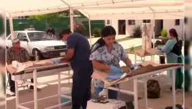 Continúan con campaña de esterilización