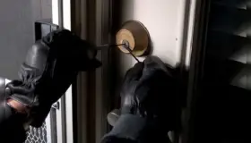 Resulta lesionado después de haber sido robado