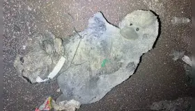 Bloquean drenaje con mono de peluche 