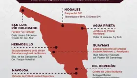 Contará Sonora con 90 mdp de vehículos regularizados: ADM