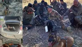 Detienen a migrantes y ‘polleros’ en Arizona