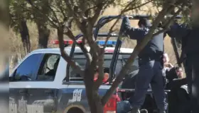 Detienen a personas alcoholizadas, conducían con imprudencia