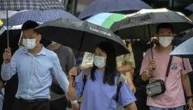 Cede terreno el covid