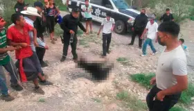 Va Profepa contra quienes torturaron y asesinaron a osezna