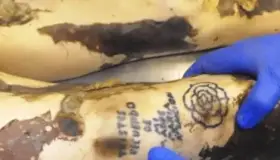 Reconocen cadáveres por tatuajes en Arizona