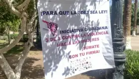 Presentarán colectivas ante Congreso del Estado iniciativa 3 de 3